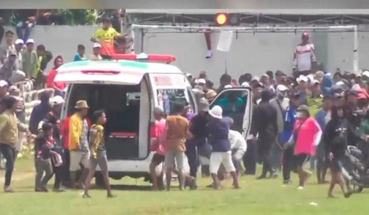 Dampak dan Tindak Lanjut