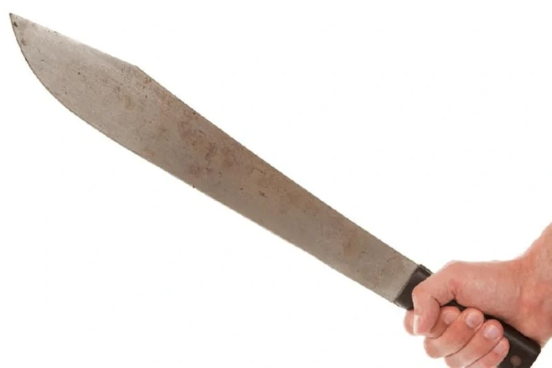 Gara-Gara Pohon Mangga, Warga Surabaya Bacok Tetangga Sendiri